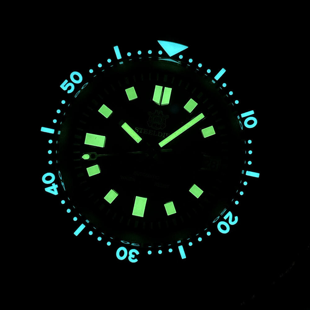 SD1970 Steeldive Brand 44MM AR - Titanium Sport Watch recension och pris