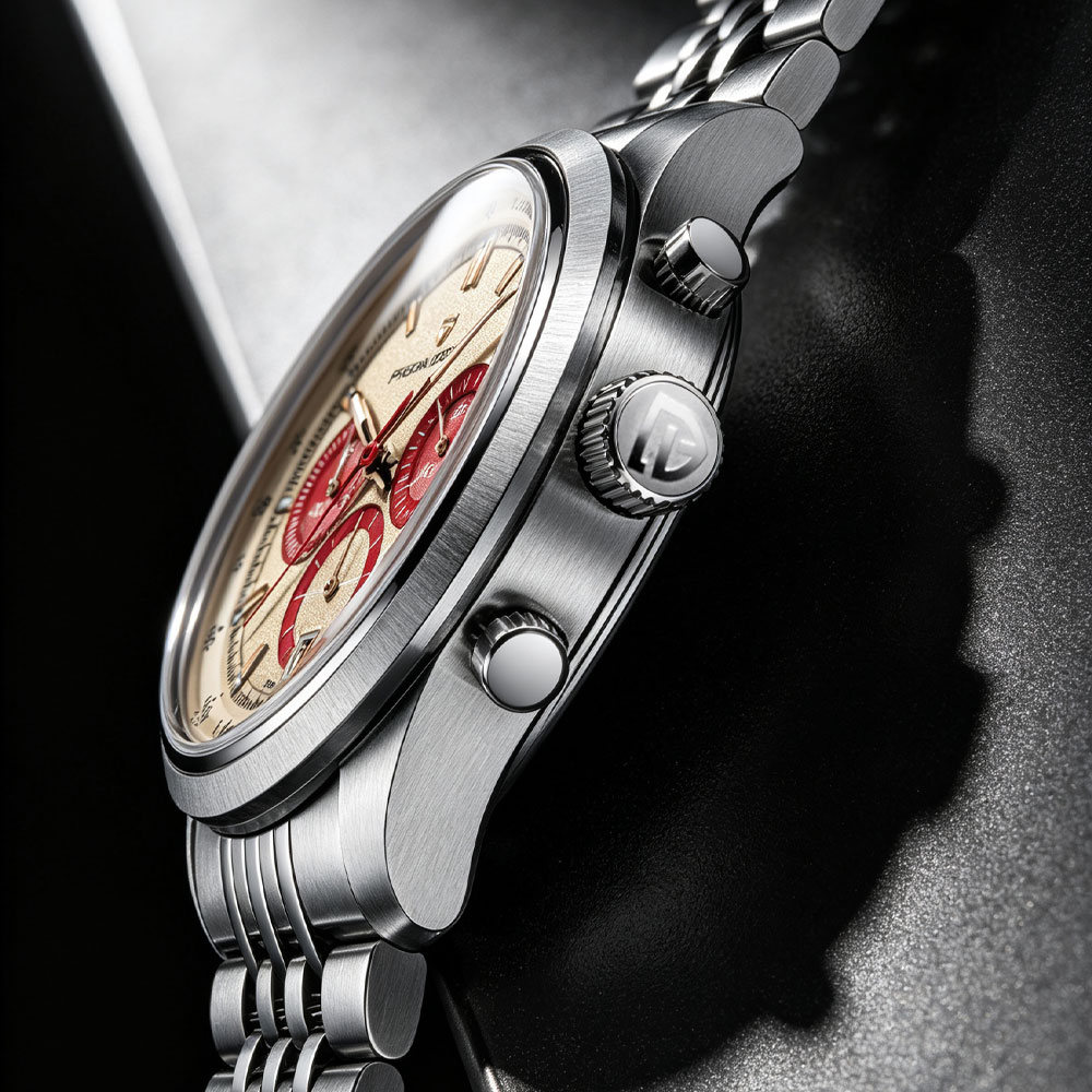 PAGANI DESIGN New Men Watch Lu - Luxury Watch For Men recension och pris