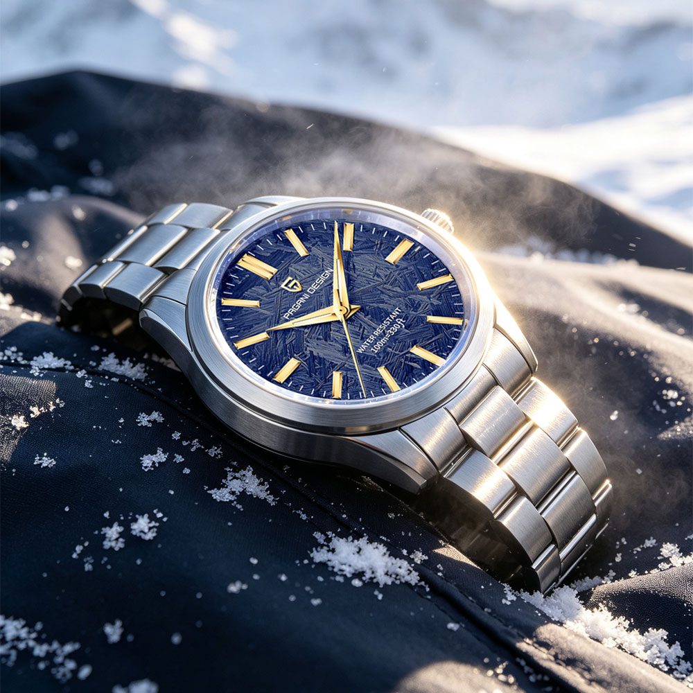 PAGANI DESIGN 40MM Men Quartz  - Luxury Watch Business recension och pris